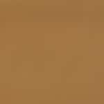 DARK NEUTRAL 3