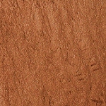 6 - BRONZE DIVINTY