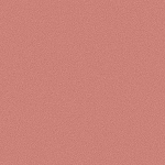 8207 Rose