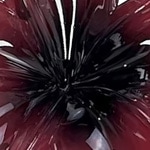 Burgundia