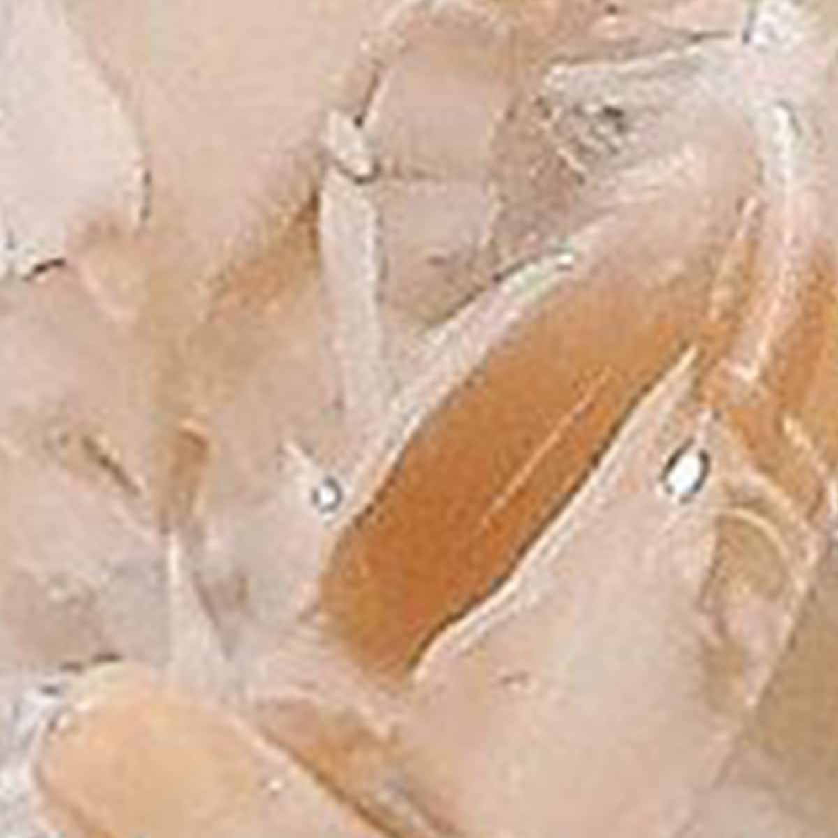 Argilă