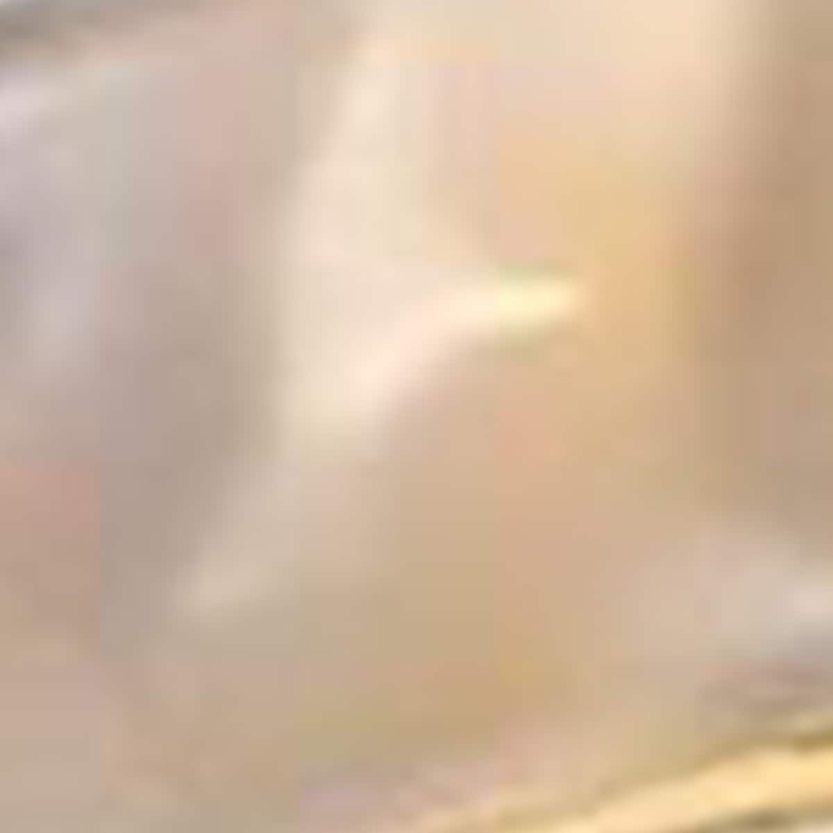 Porumbel