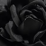Negru