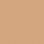 205 Amber Beige