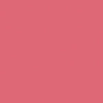 03 - Lychee Pink