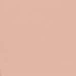 04 - LIGHT BISQUE