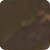 05 - Ash Brown