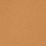 42 Tan Neutral
