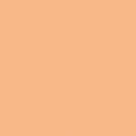 04 - Biscuit