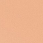 310 - BISQUE WARM 025