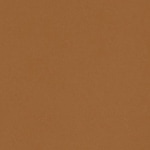 10 - Camel