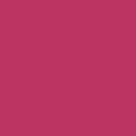 1977 Pink Voyage