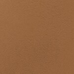 10 - Praline
