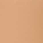 TAN 19C
