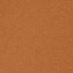 44 Tan Warm