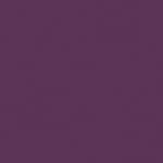14 - Magnetic Purple