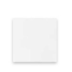 Polar White