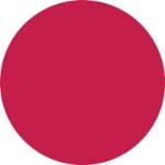886 Le Fuchsia Vibrant - Velvet