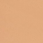 Tan 22 (Warm)