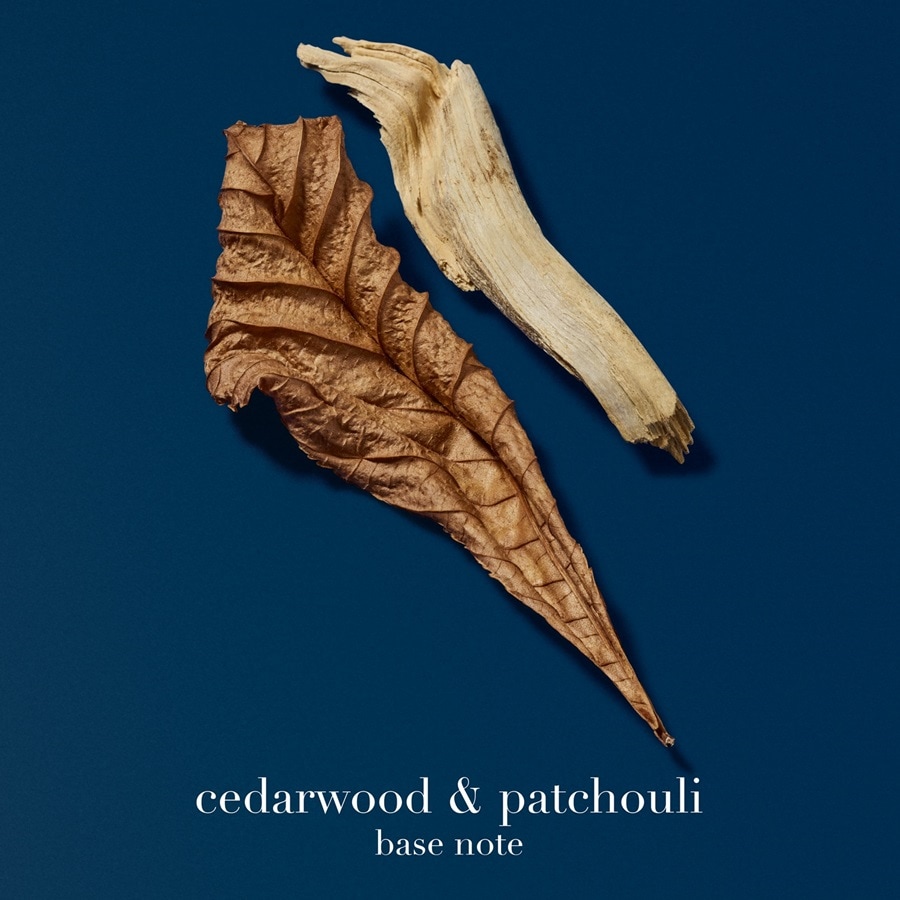 Acqua di Gio Profondo - Apa de parfum reincarcabila barbati