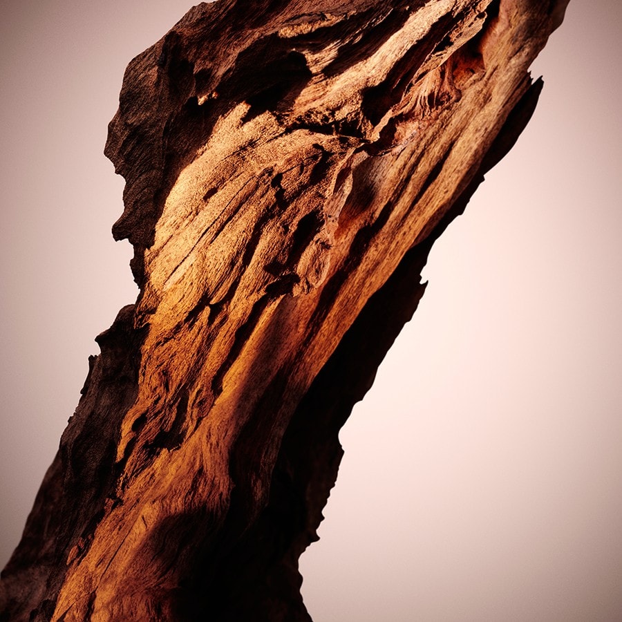 The Scent For Her Parfum