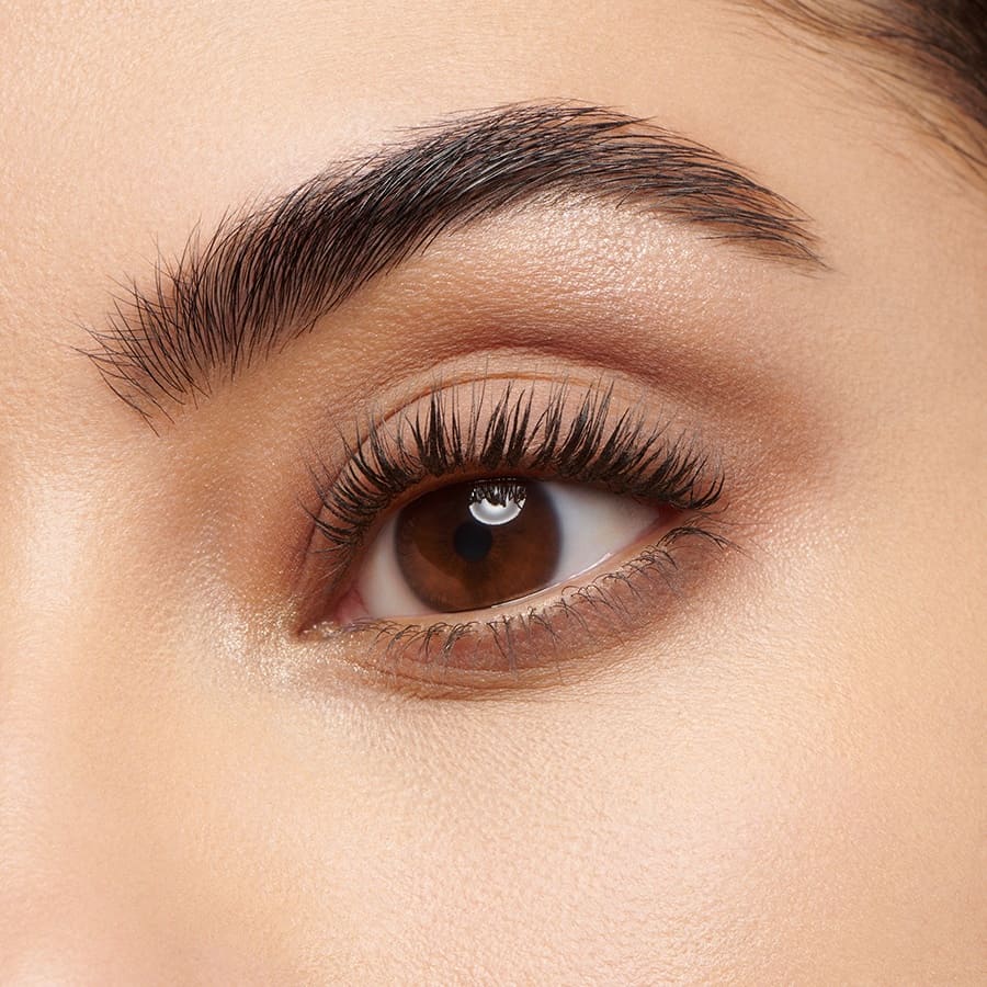 Ombre 4 Couleurs Eyeshadow