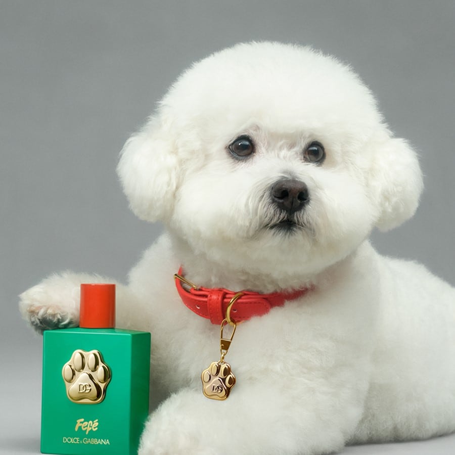 Fefé - Parfum For Dogs
