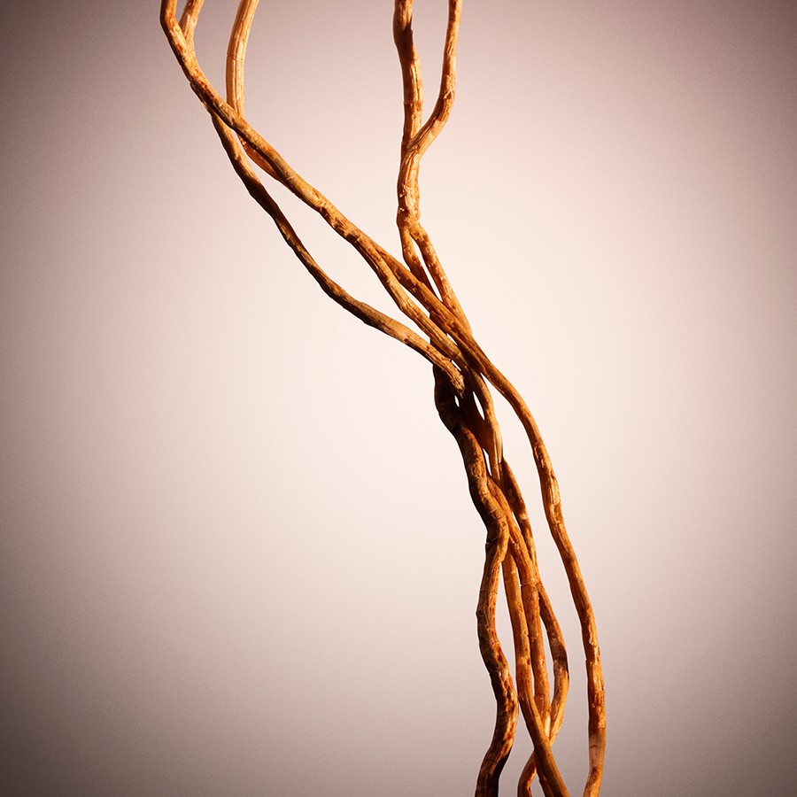 The Scent For Her Parfum