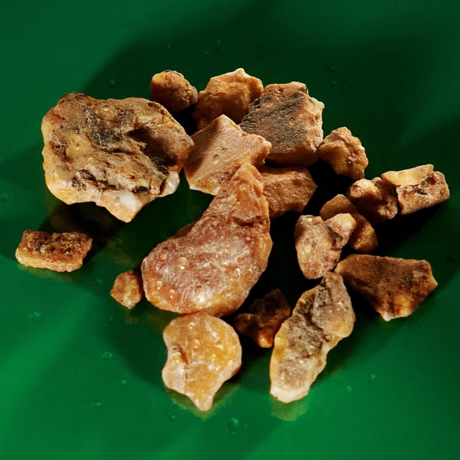 Guilty Elixir Parfum