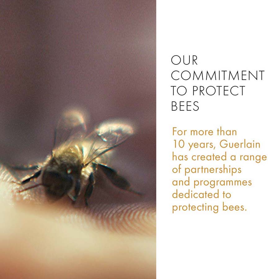 Abeille Royale Repairing & Youth Hand Balm