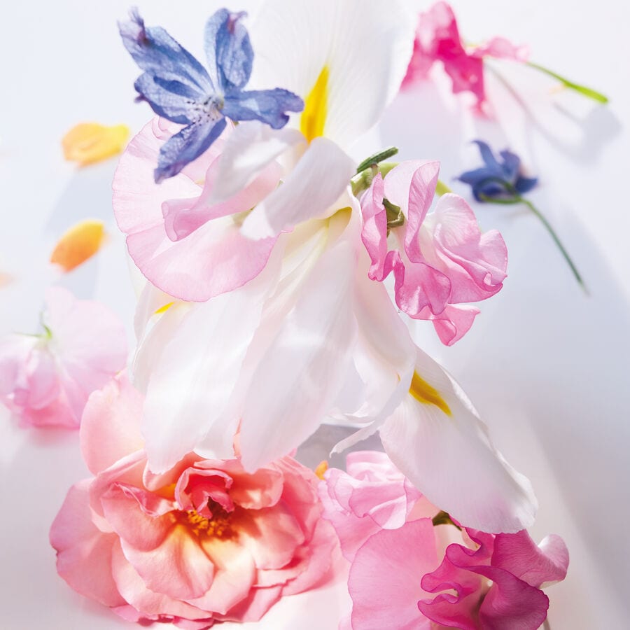 Miss Dior  Eau de Parfum Roller-Pearl