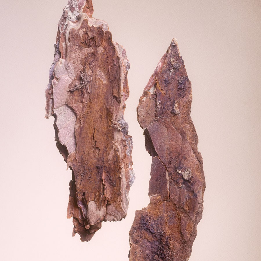 Signature Eau de Parfum