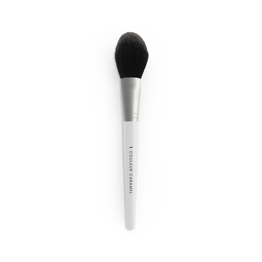 Powder Brush N1