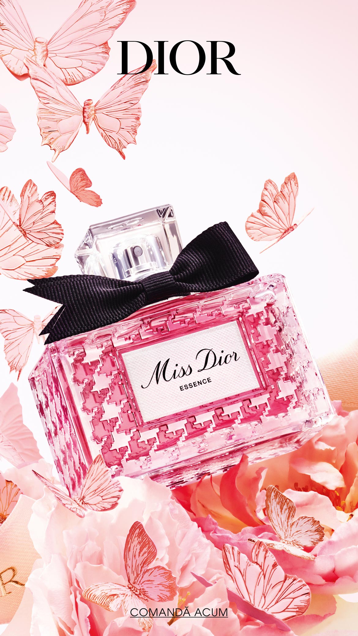 Glisor de imagine implicit pentru cms