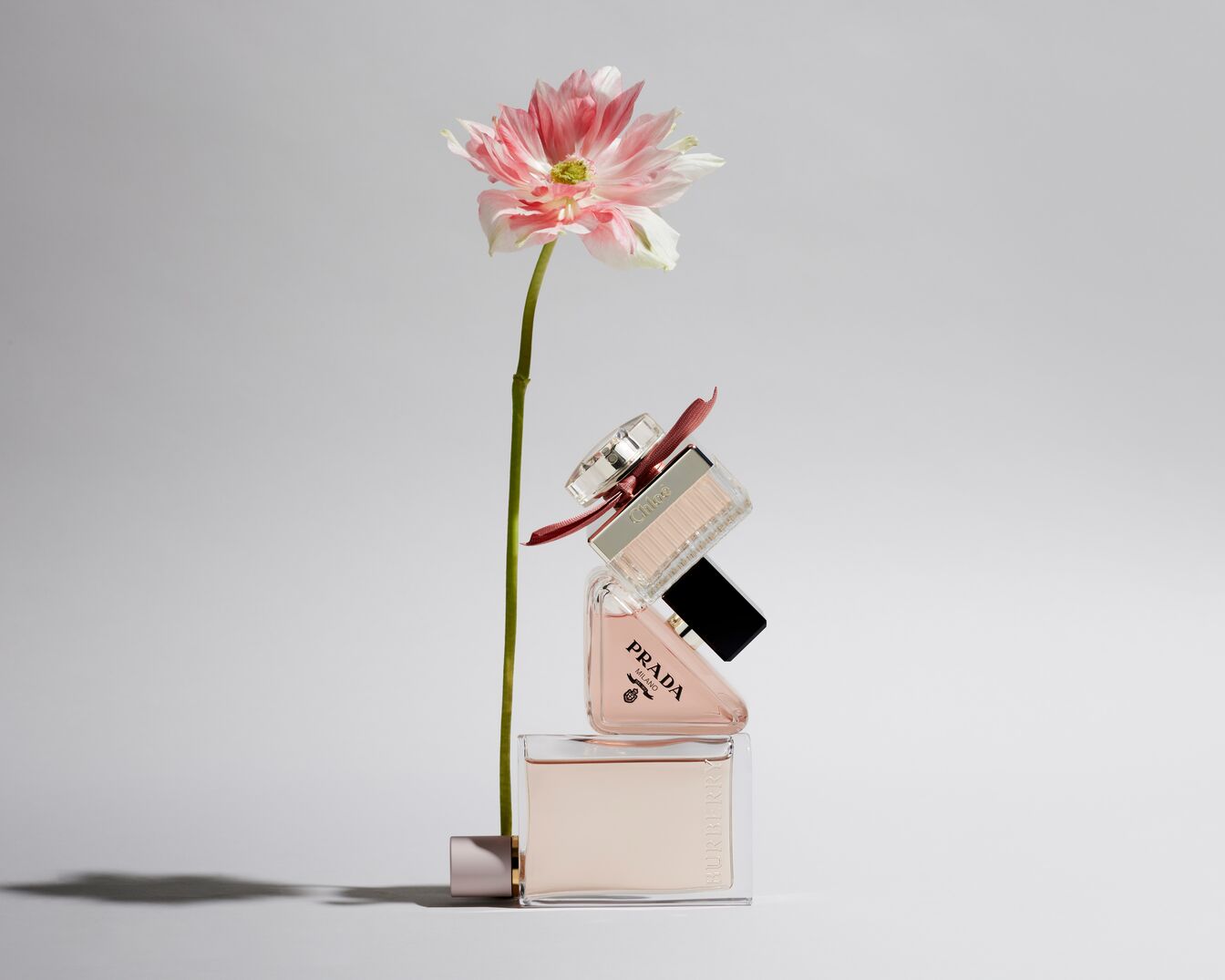 Imagine implicită pentru cms