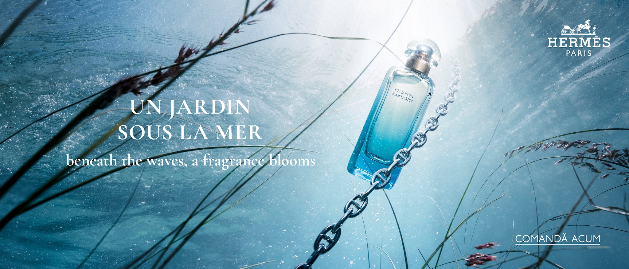 Glisor de imagine implicit pentru cms