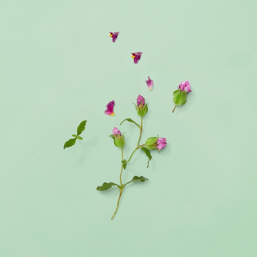 Guilty Parfum Pour Homme