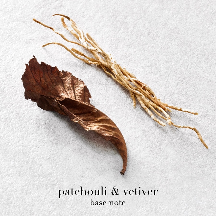 Acqua di Gio Eau de Parfum - Apa de parfum reincarcabila barbati