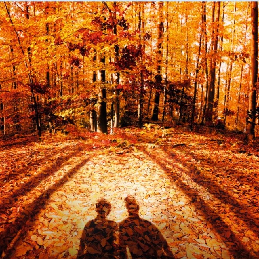 Autumn Vibes Eau de Toilette