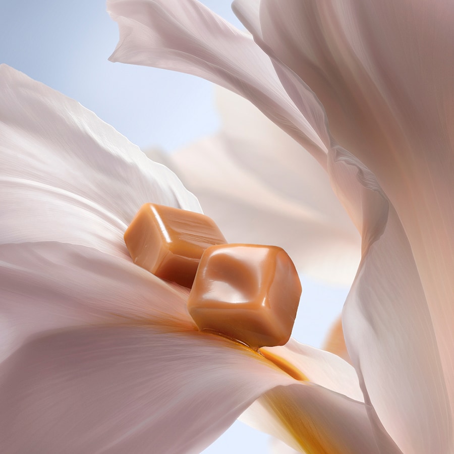 La Vie Est Belle Hair & Body Mist