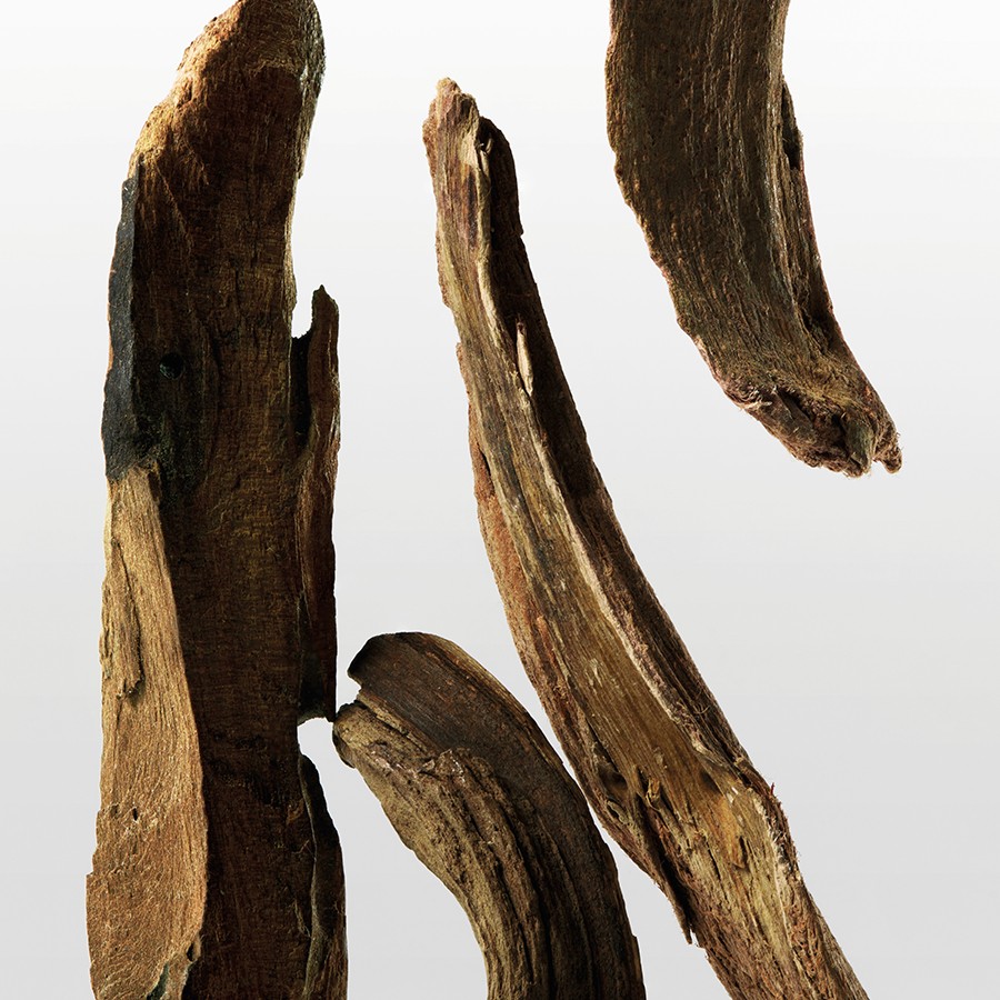 Ck one essence Intense Parfum