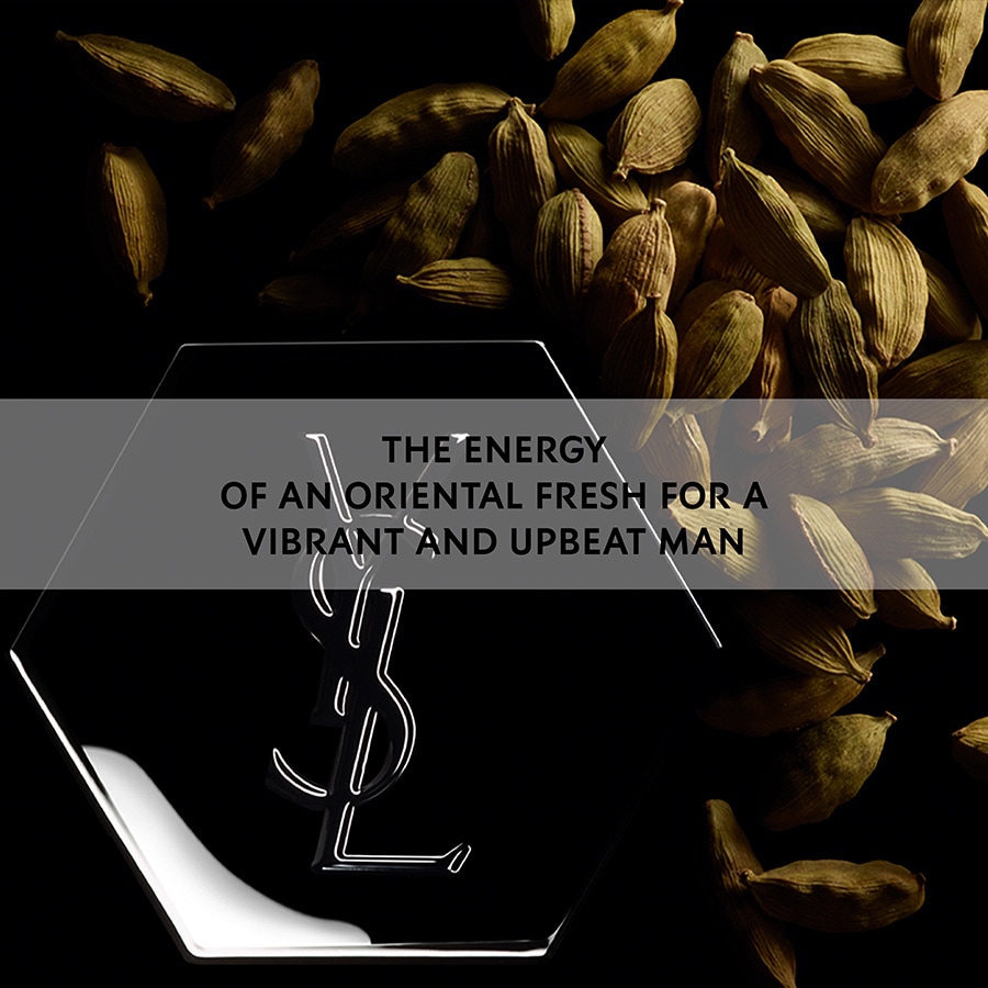 La Nuit de L'Homme Eau de Toilette