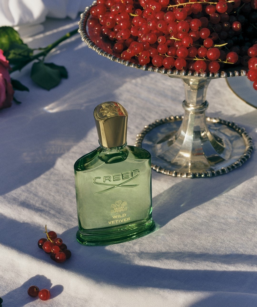 Imagine implicită pentru cms