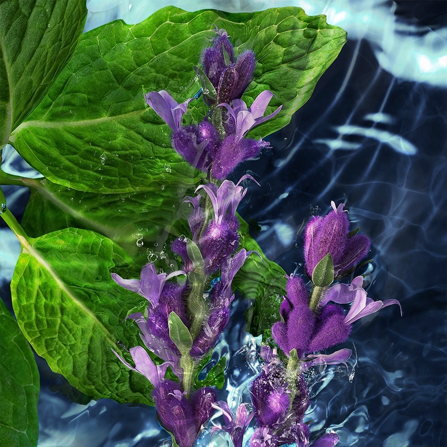 Eau de Toilette Cool Water for Men