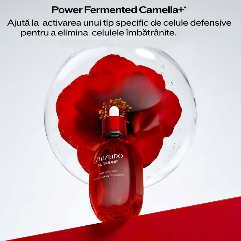 Imagine implicită pentru cms