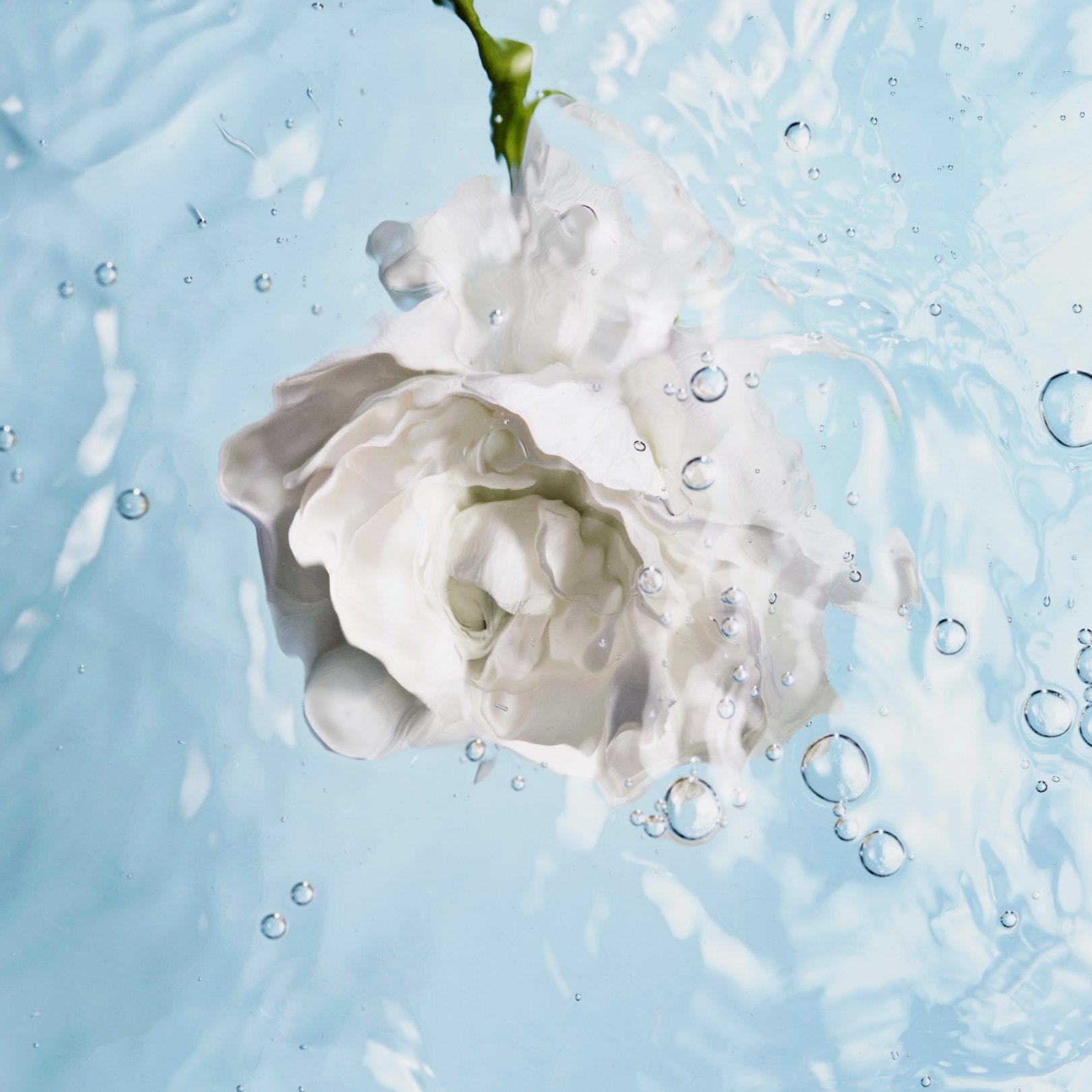 HYDRA BEAUTY NUTRITION