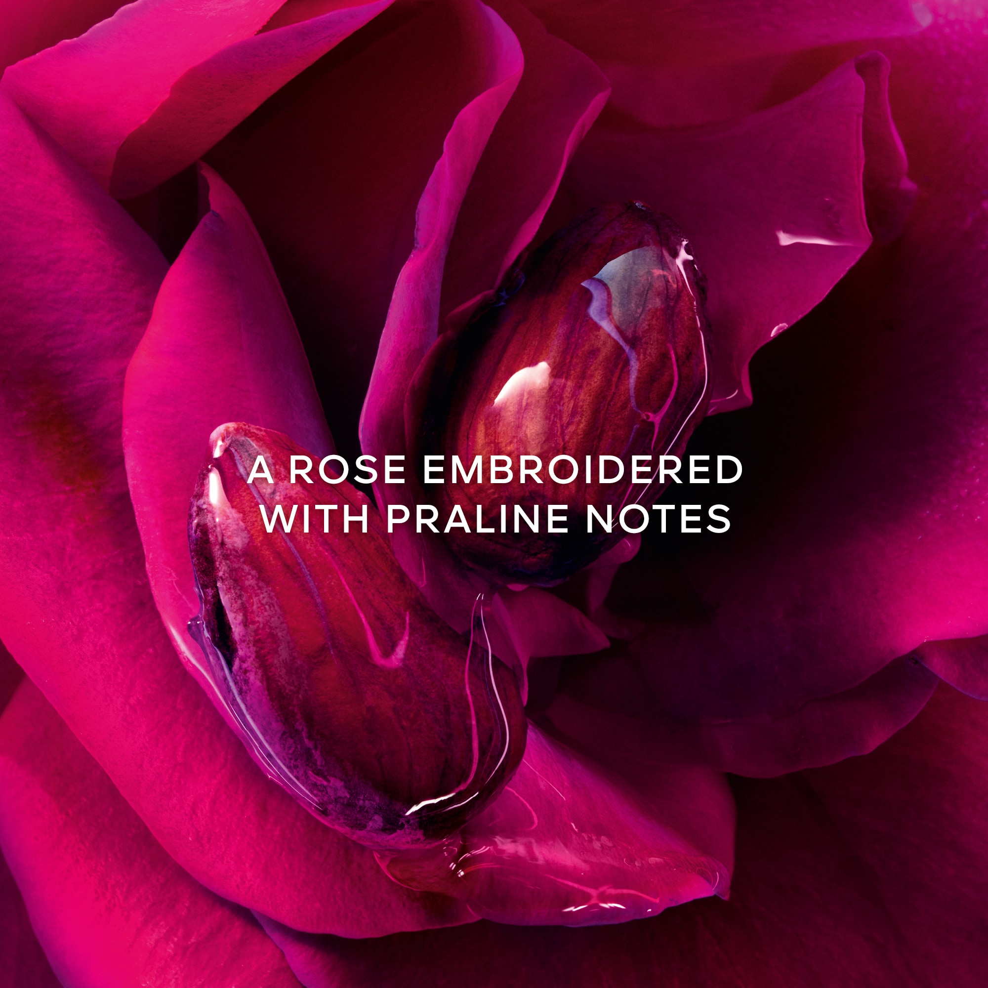 La Petite Robe Noire Parfum