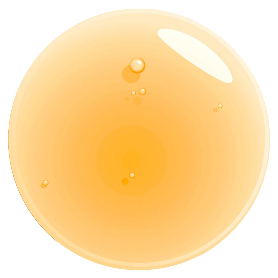 Fat Oil Lip Drip Chillz