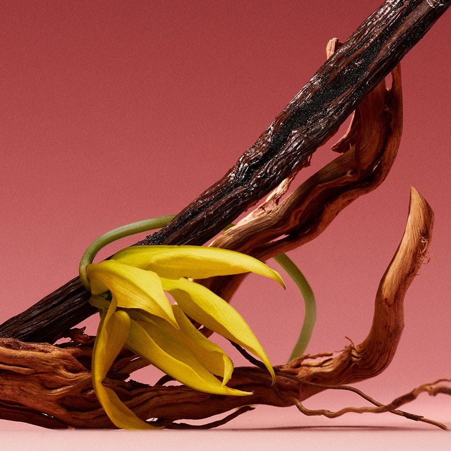 Eternity Amber Essence