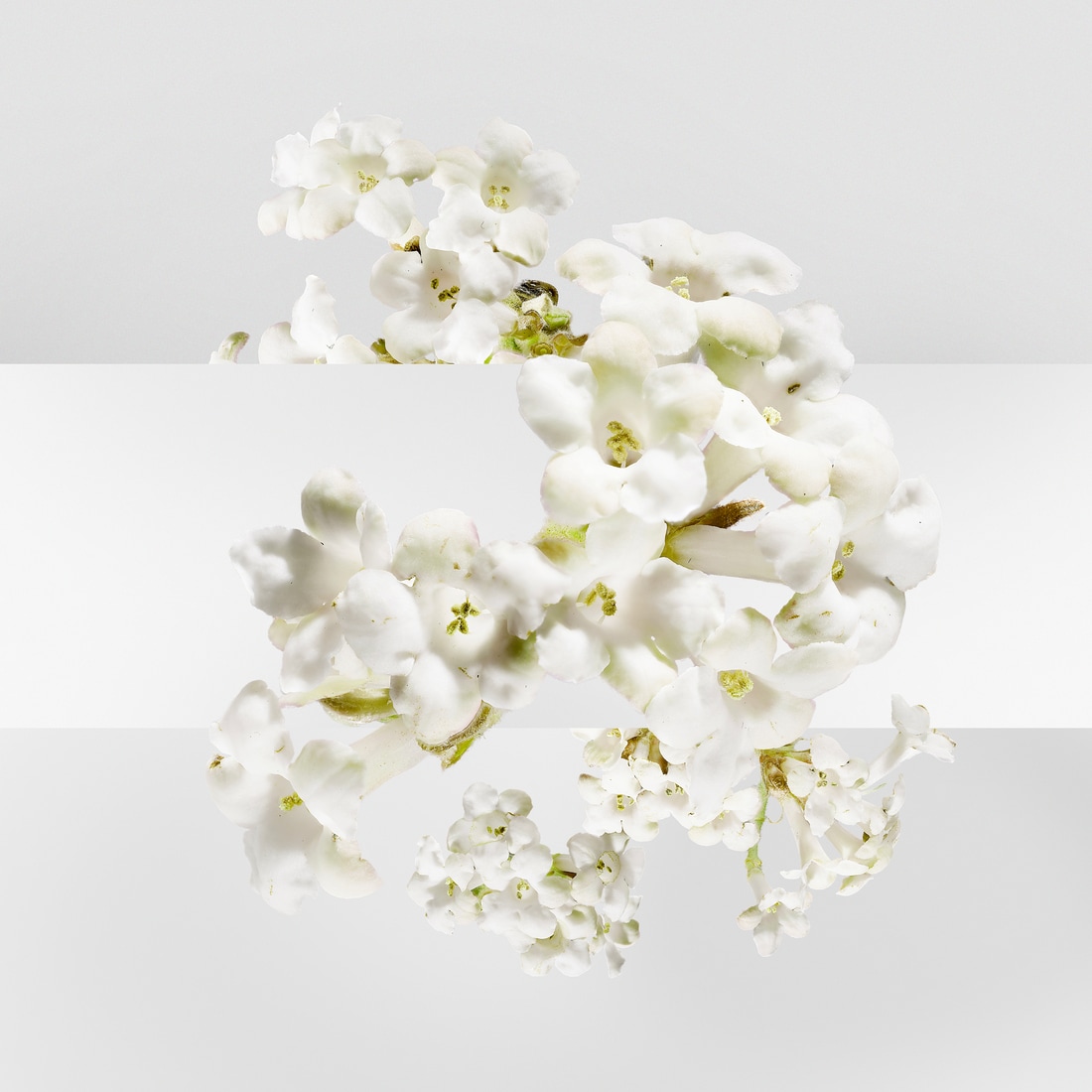 UN JARDIN SUR LA LAGUNE EAU DE TOILETTE